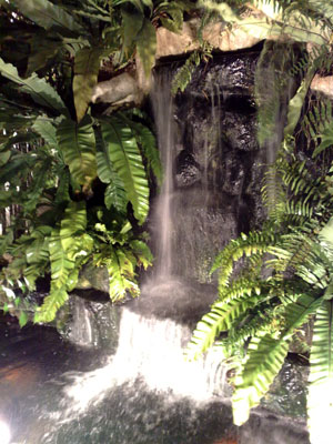 090207-fg2 the nice mini water fall
